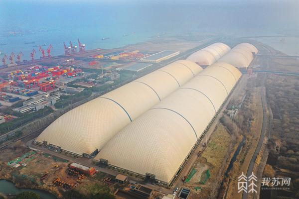 電廠儲(chǔ)煤棚